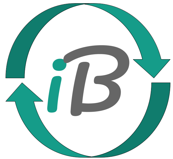 Logo of iBridges